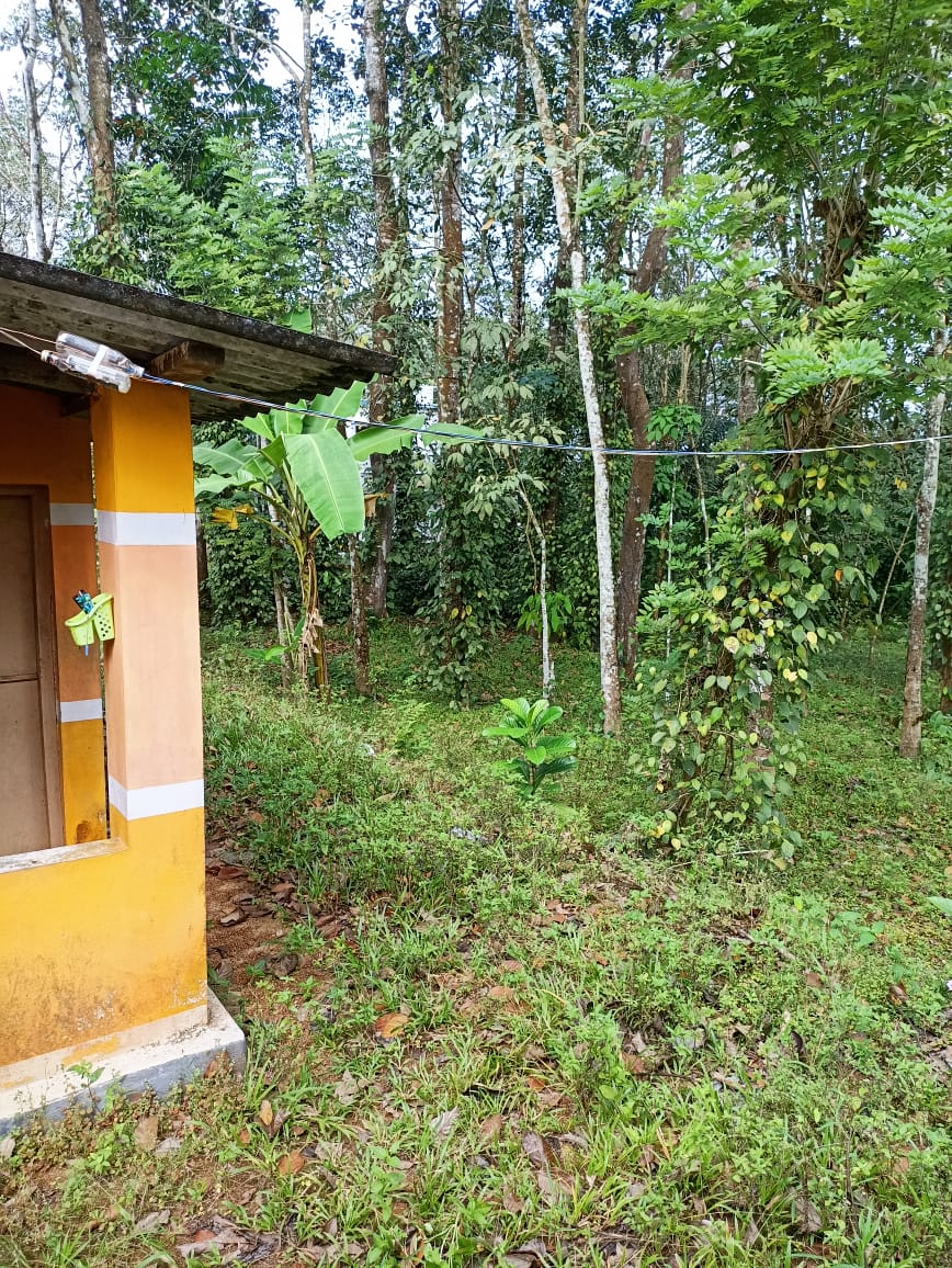 EQ8_P1021 37.5cent land and an old house near main road Kodumon, Pathanamthitta