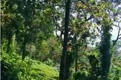 EQ8_P1023 4 Acre Land at Melukavu, Kottayam