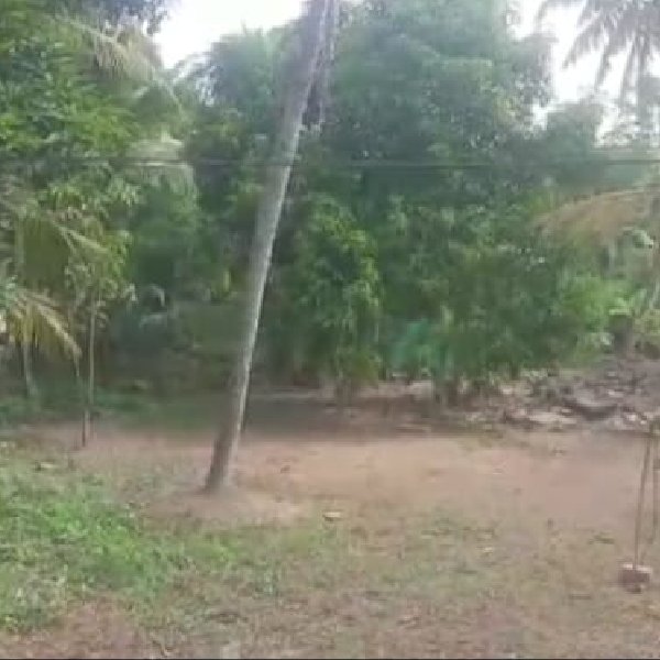 EQ8_P1016 - 52 cent land for sale in Kainagiri, Alappuzha