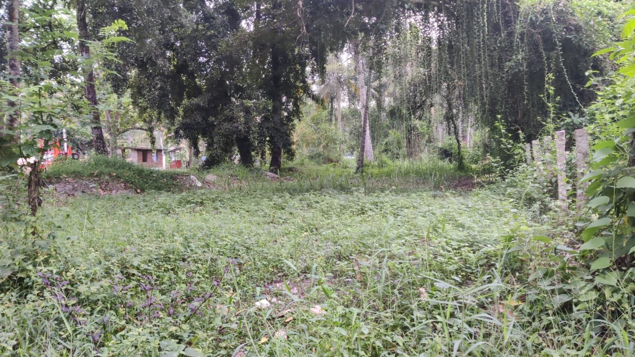 EQ8_P1013 - 10 cent land in prime location for sale  Karthikapally, Alappuzha