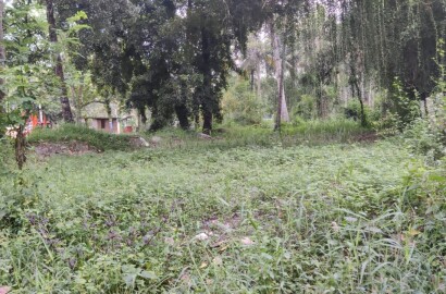 EQ8_P1013 - 10 cent land in prime location for sale  Karthikapally, Alappuzha