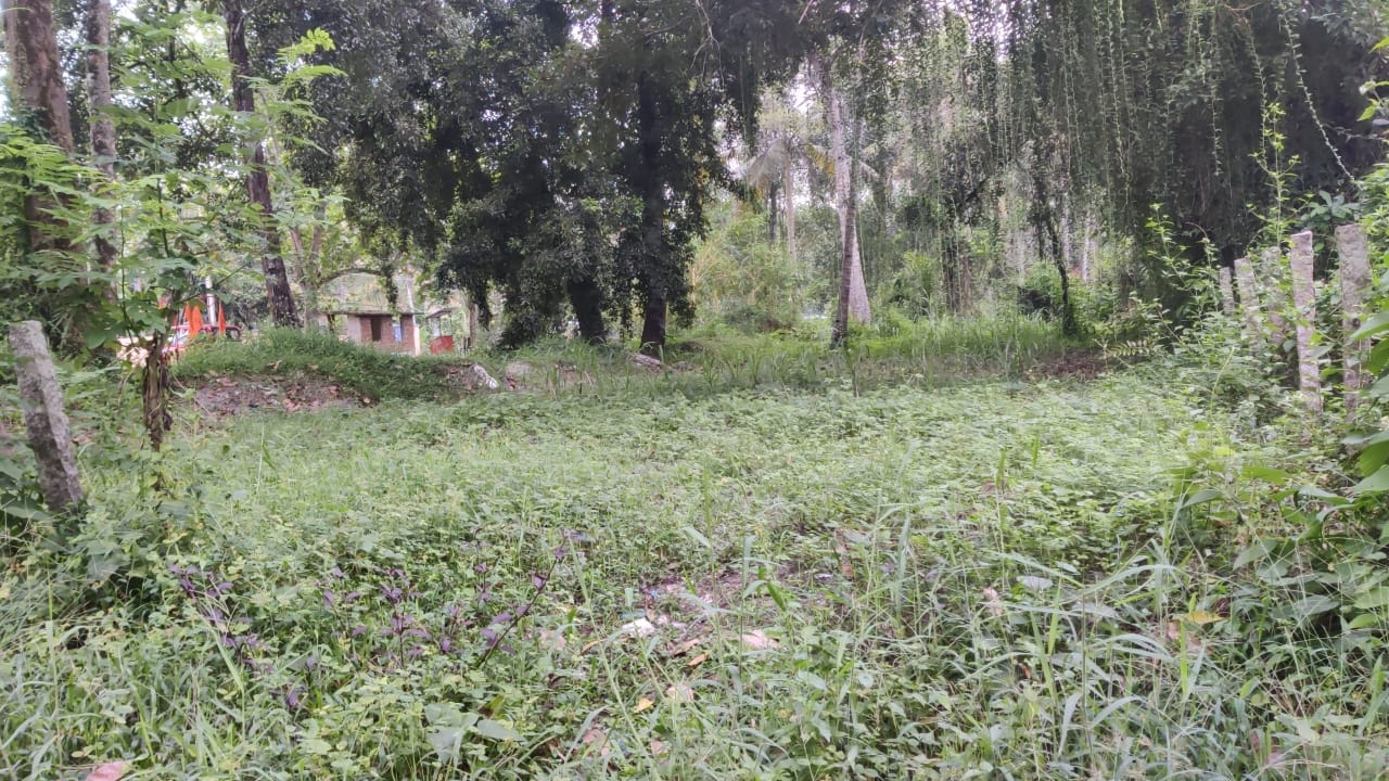 EQ8_P1013 - 10 cent land in prime location for sale  Karthikapally, Alappuzha